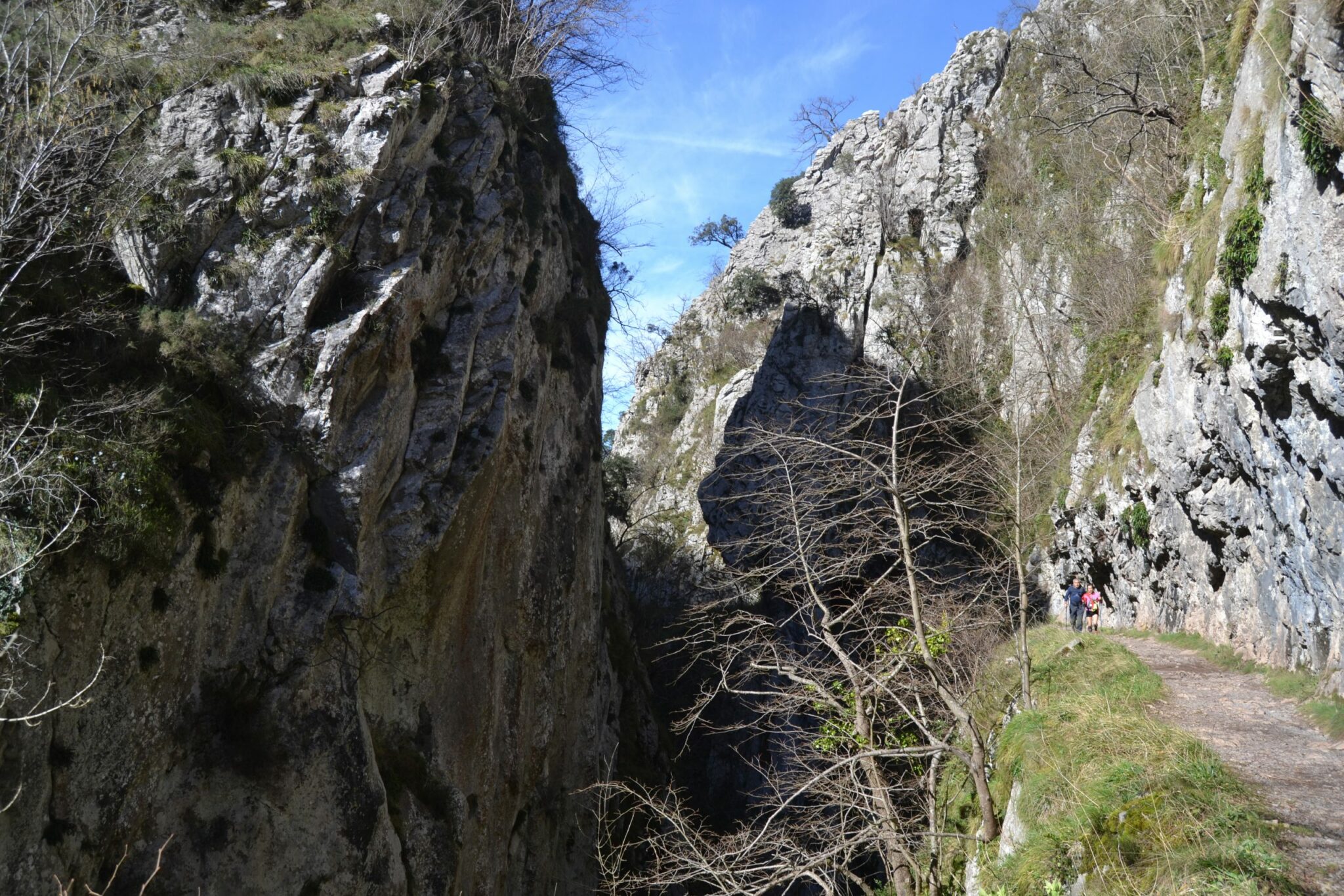 Camino entre rocas