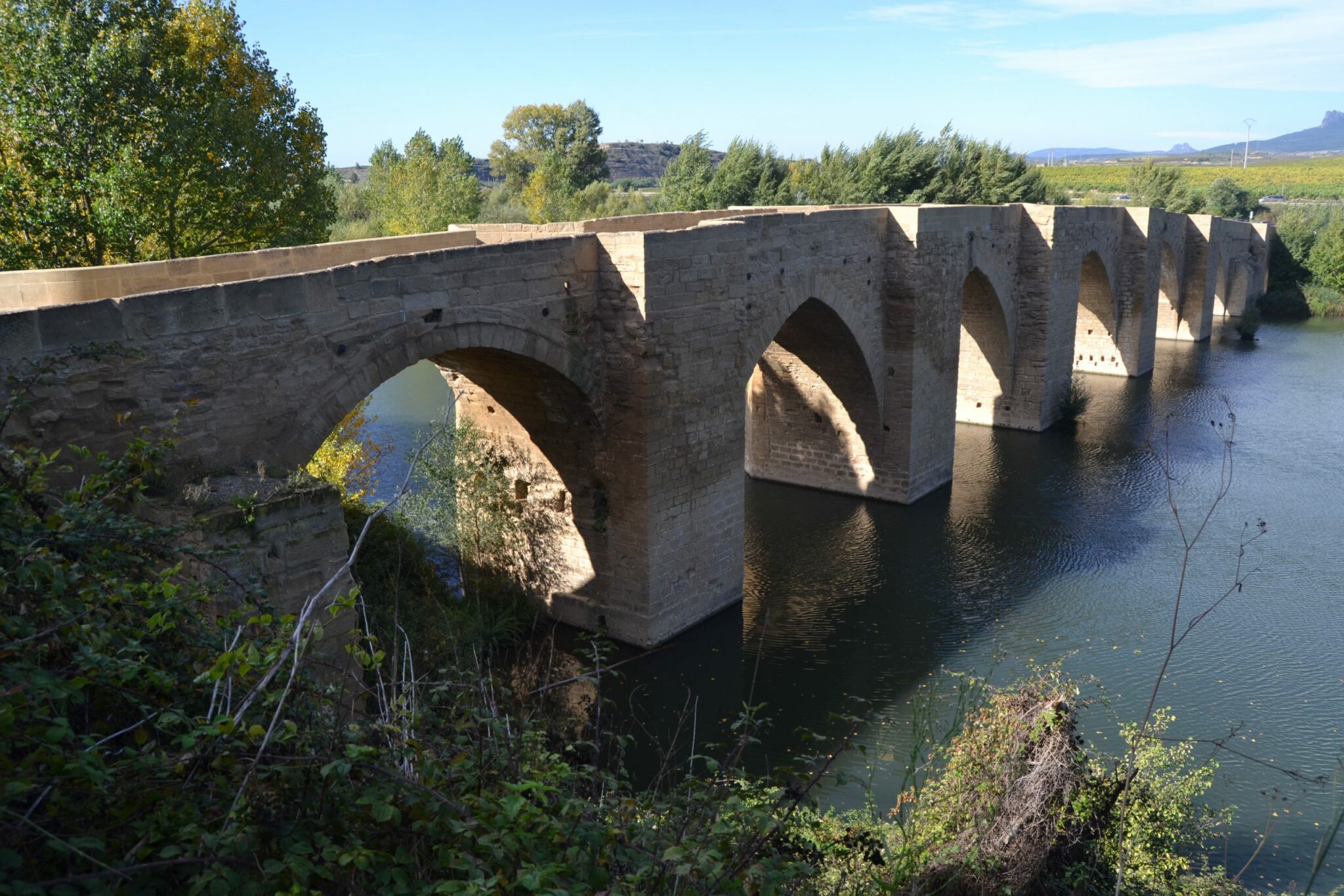 Puente de Briñas sobre el río Ebro