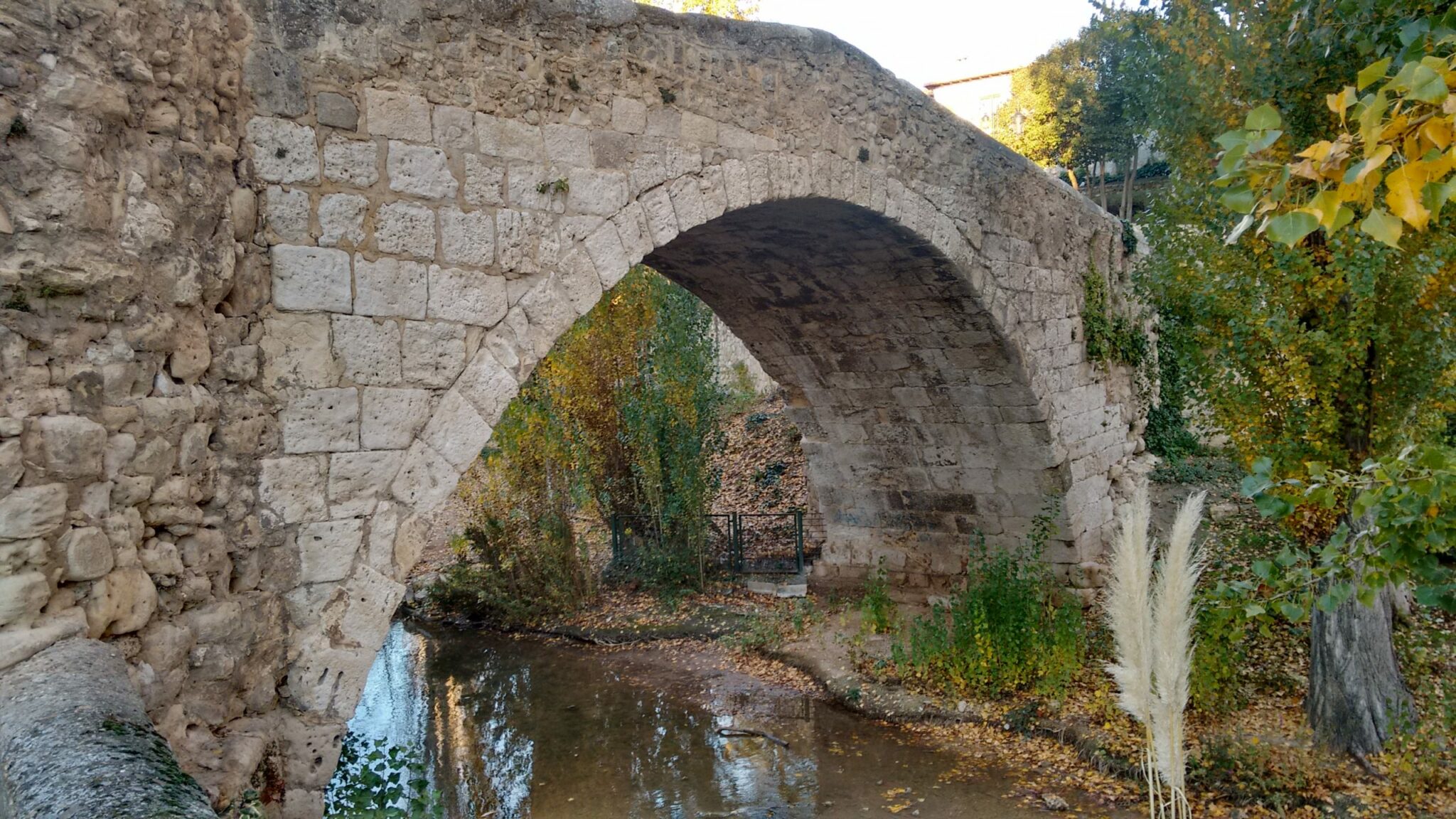 Puente Romano de Aranda de Duero