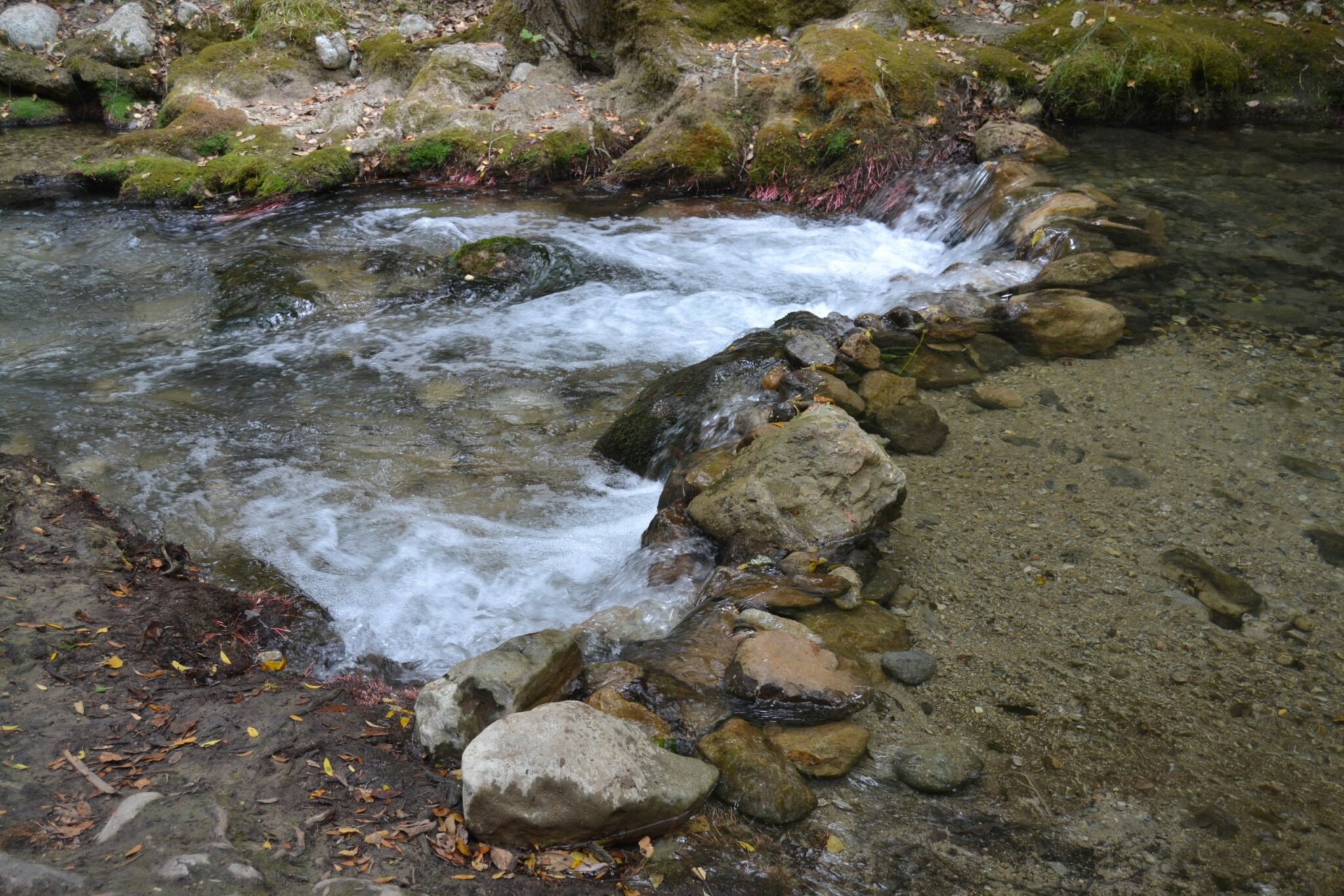 Cauce del Río Majaceite