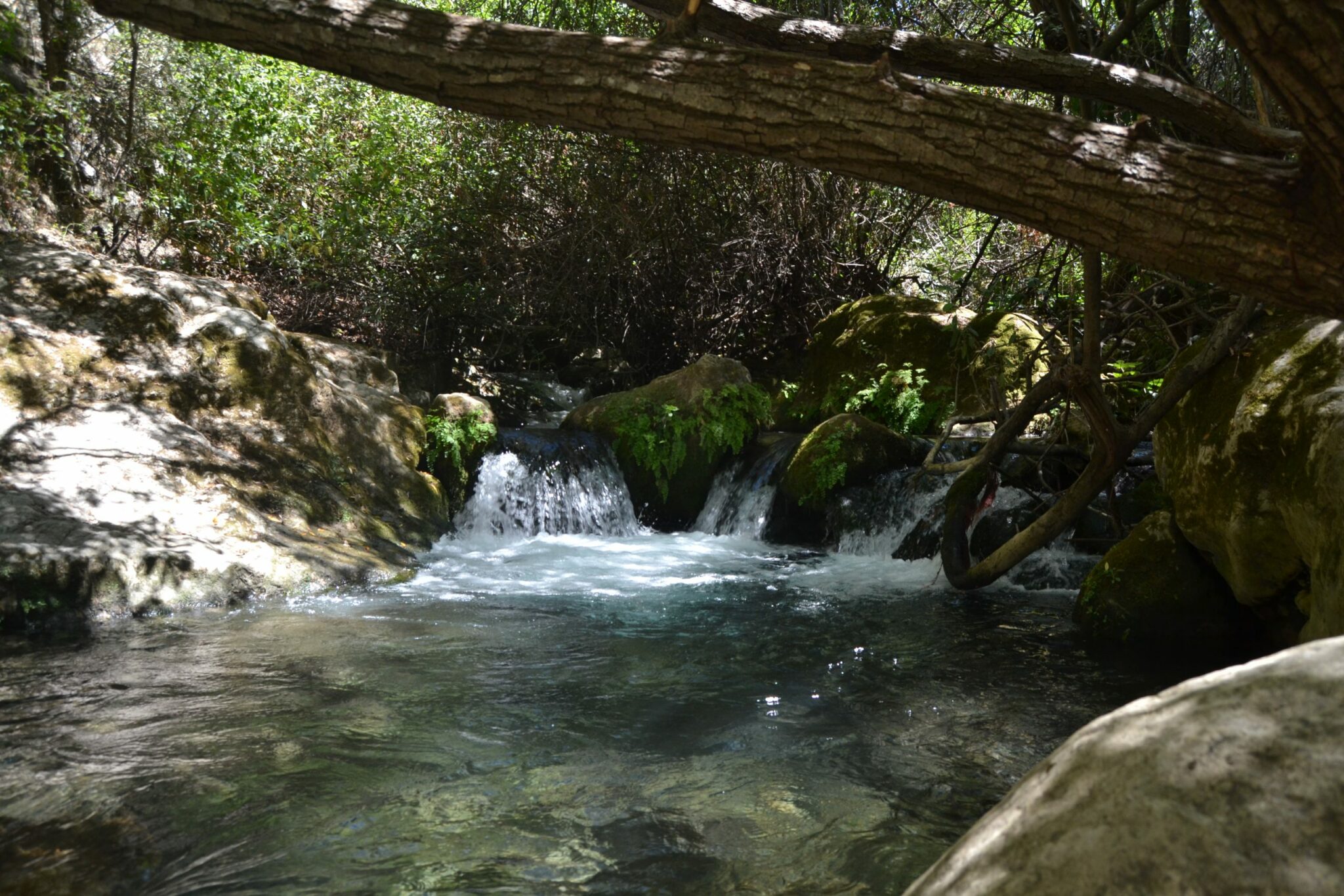 Cascadas y Poza en el río Majaceite