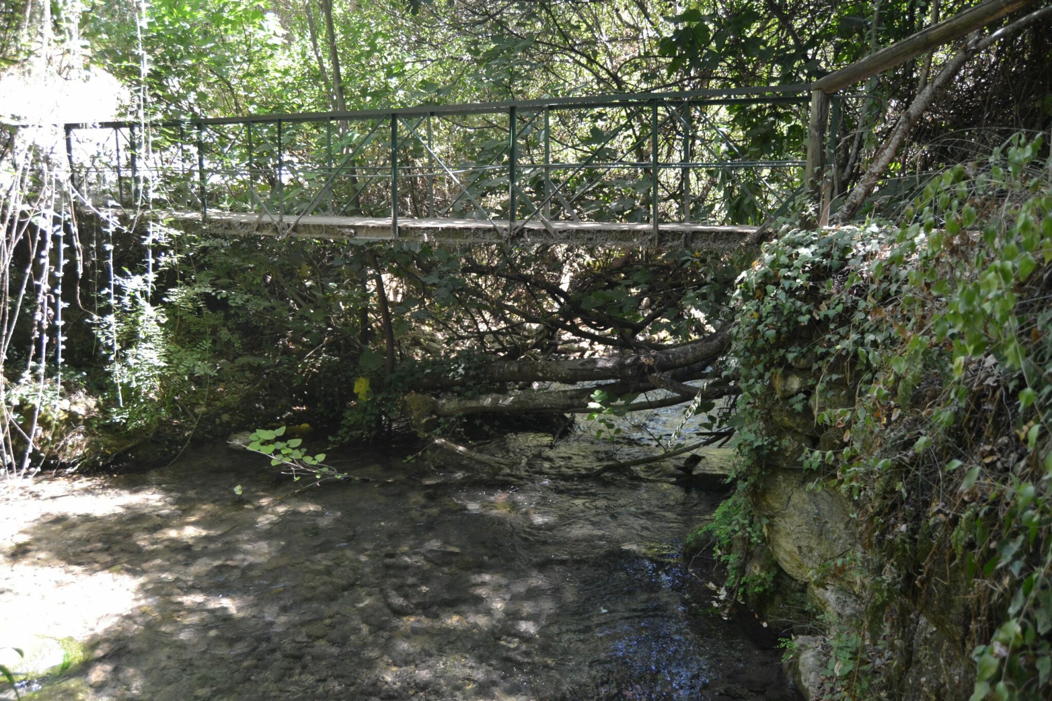 Puente sobre el Río Majaceite 