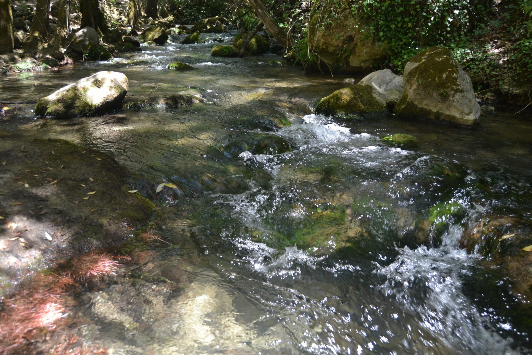Aguas del Río Majaceite