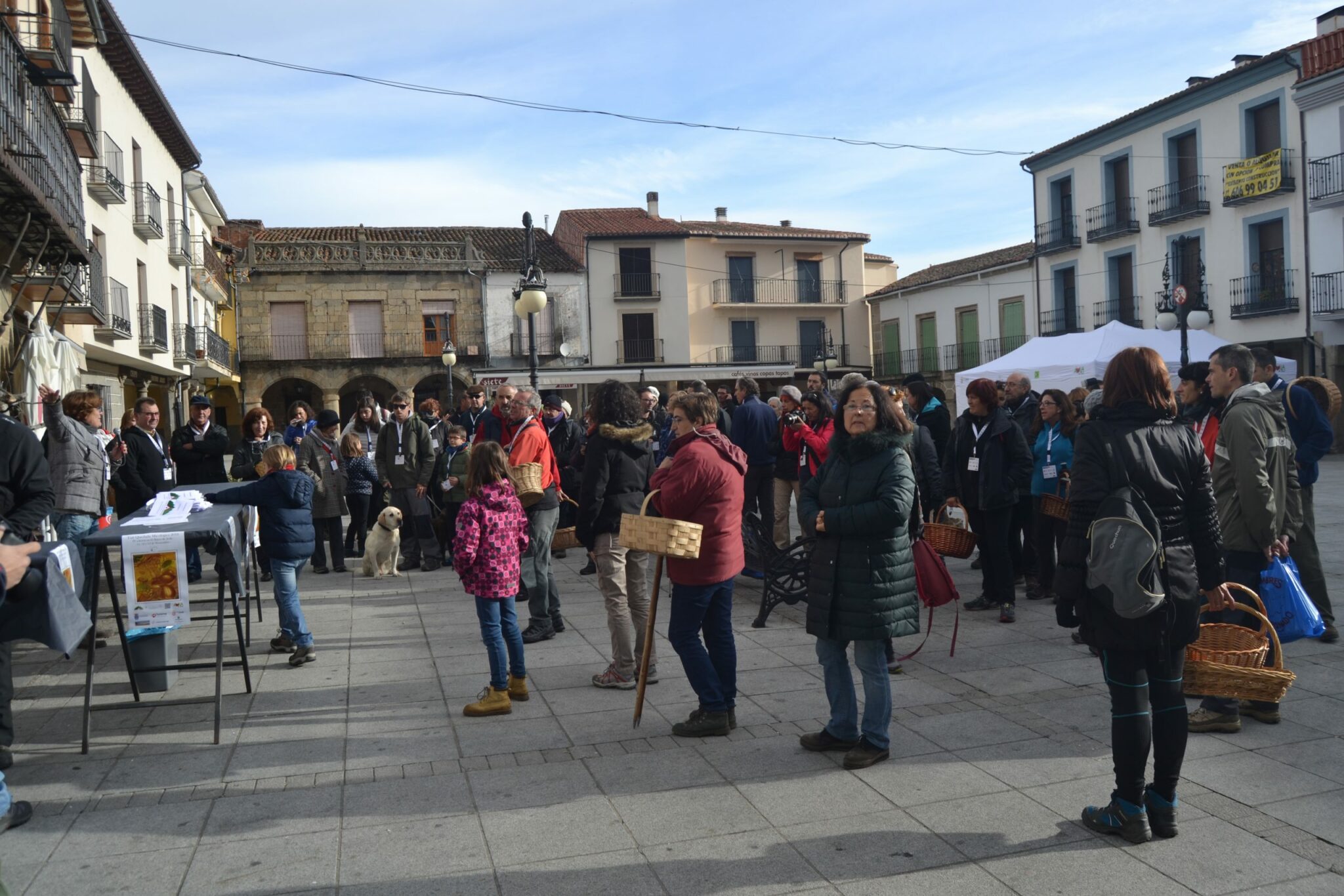 Inicio de la Tuitquedada Micológica en la Plaza de El Barco de Ávila