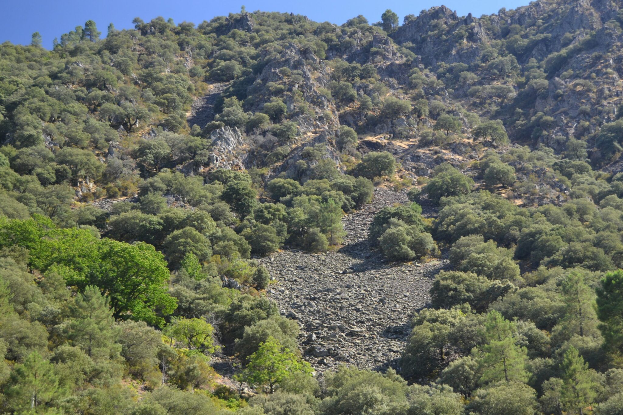 Montes de El Gasco