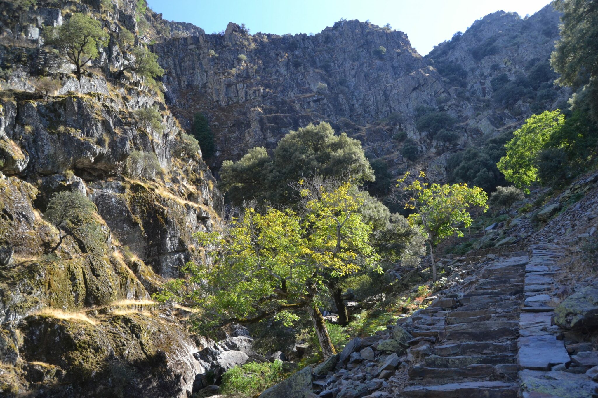 Camino de piedra junto el Arroyo de la Meancera