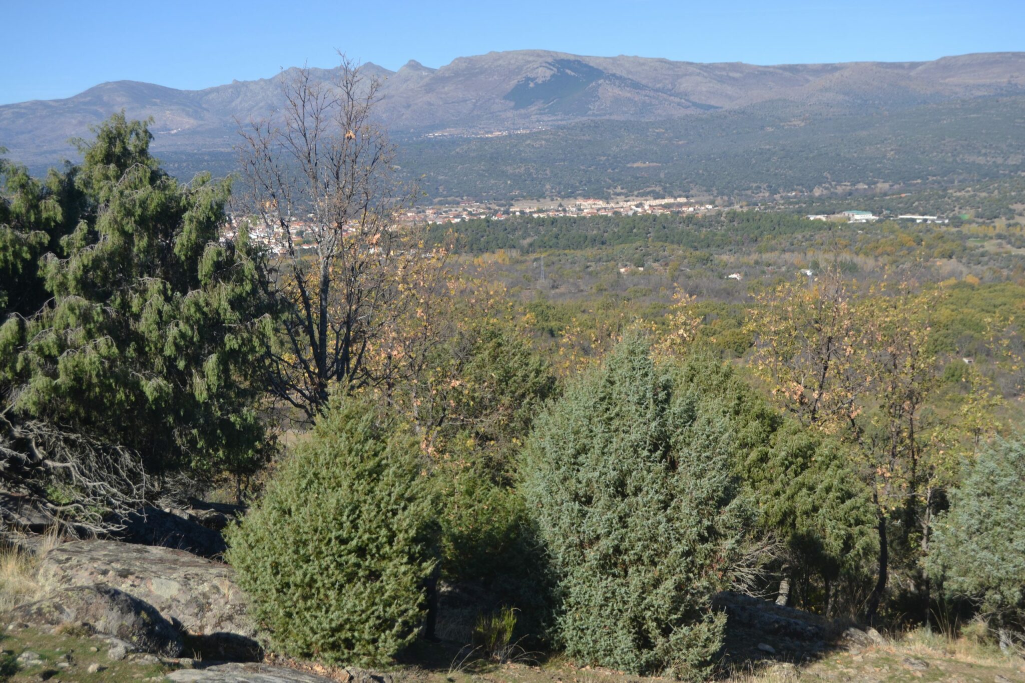 Vista de Navaluenga con la Sierra de Gredos al fondo