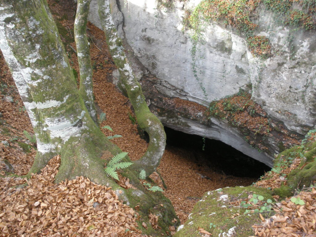 Cueva de Las Paules