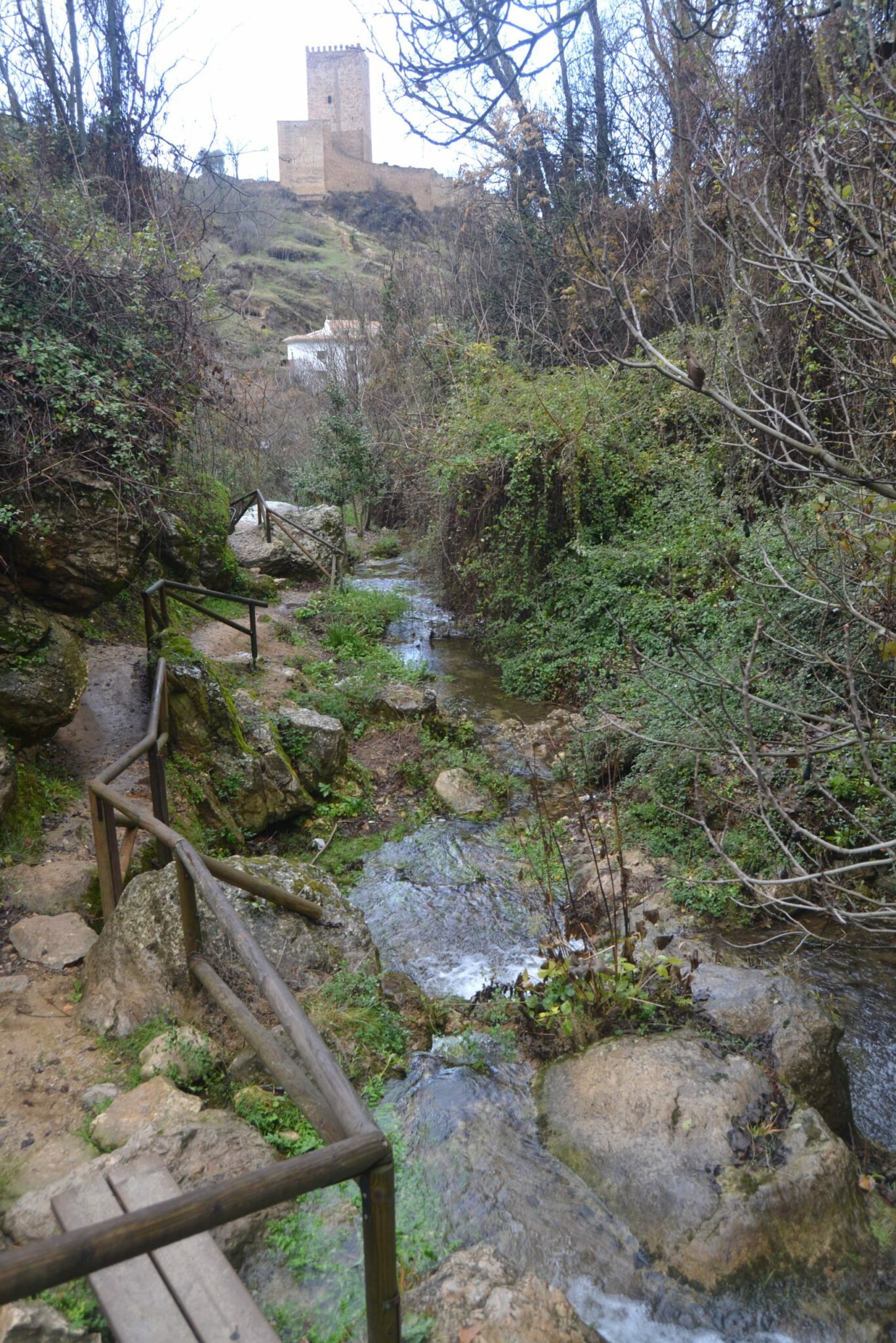 Senda río Cerezuelo en Cazorla