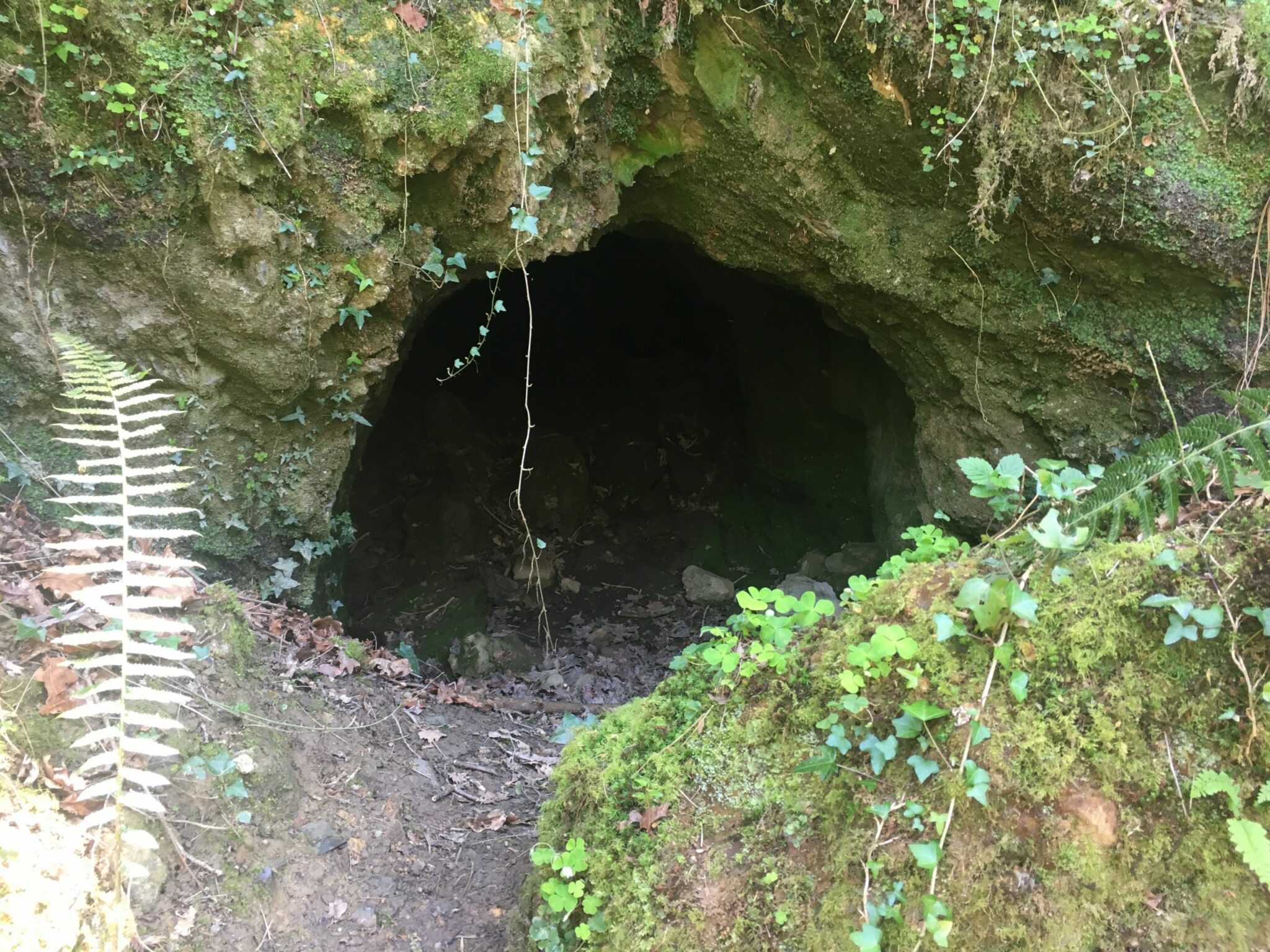 Cueva natural