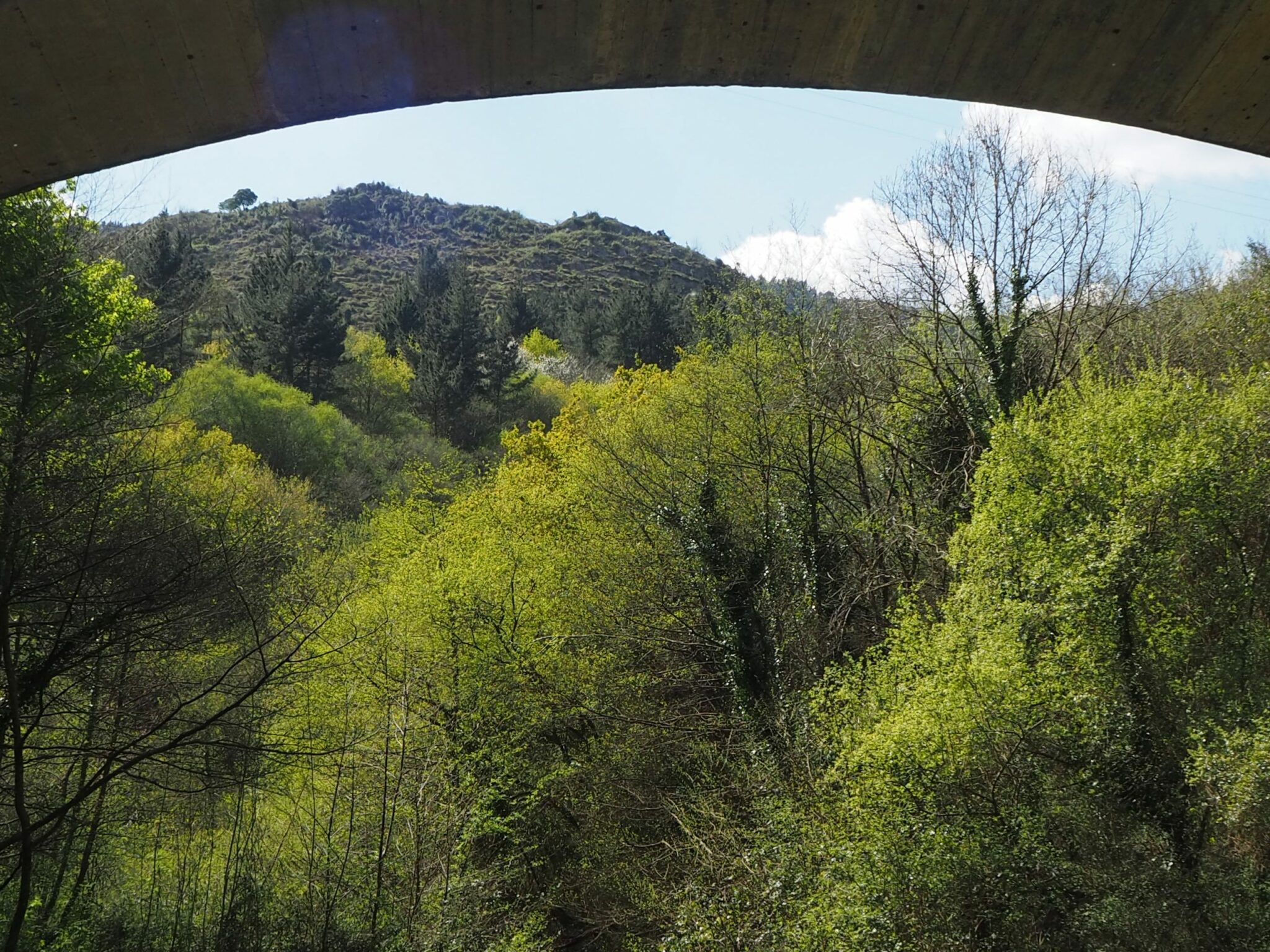 Ruta de la Cascada del Bolintxu en Bilbao