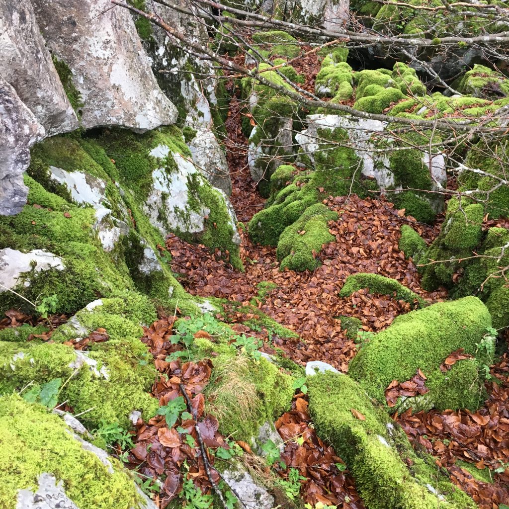 Laberintos entre rocas
