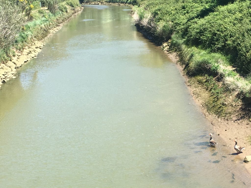 Río Barbadun de Muskiz