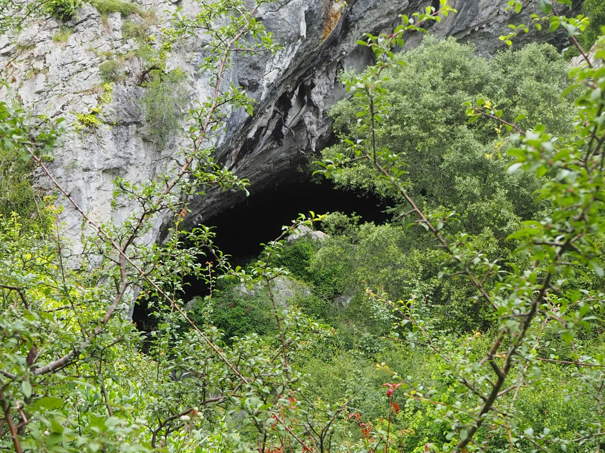 Portalón de las Cuevas de Baltzola