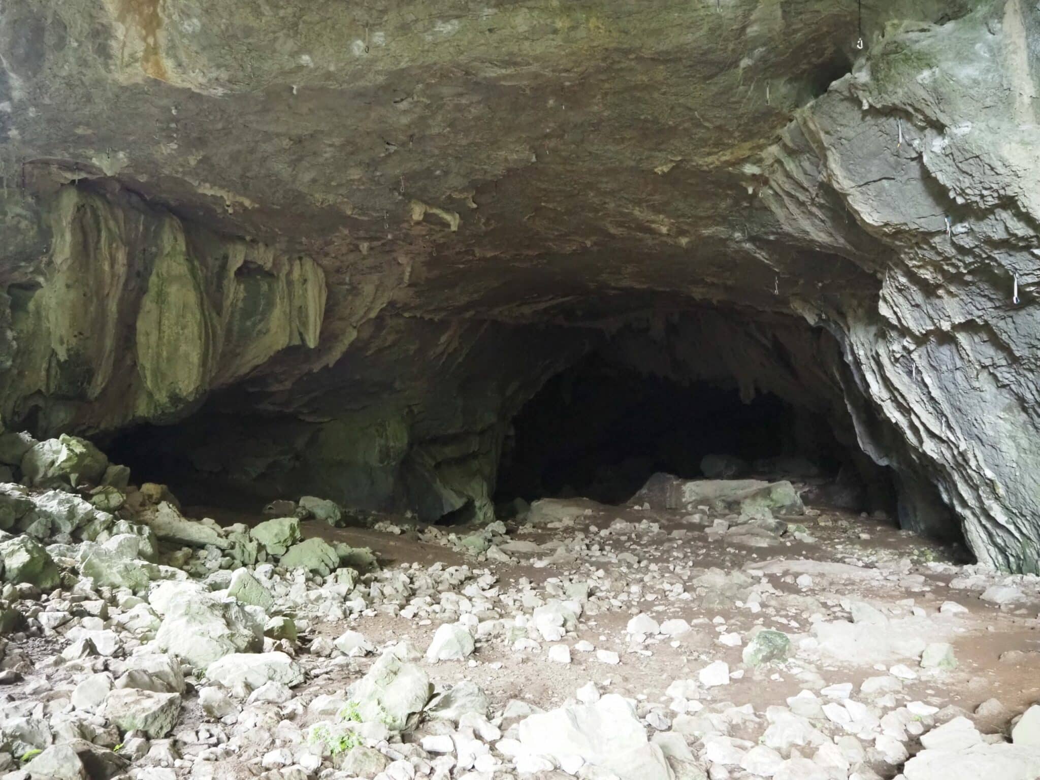 Galería principal de las Cuevas de Baltzola