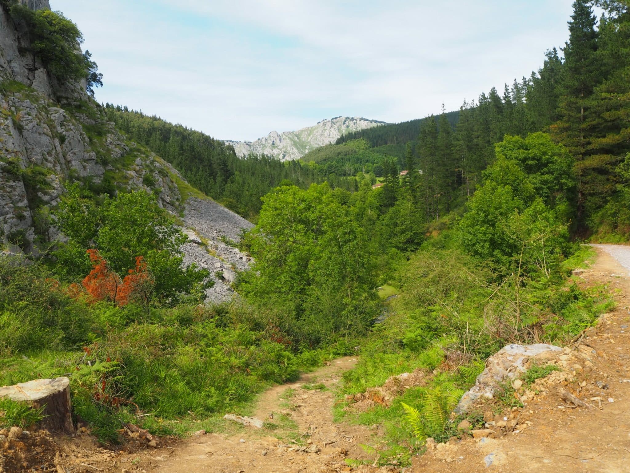 Ruta de las Cuevas de Baltzola en Dima