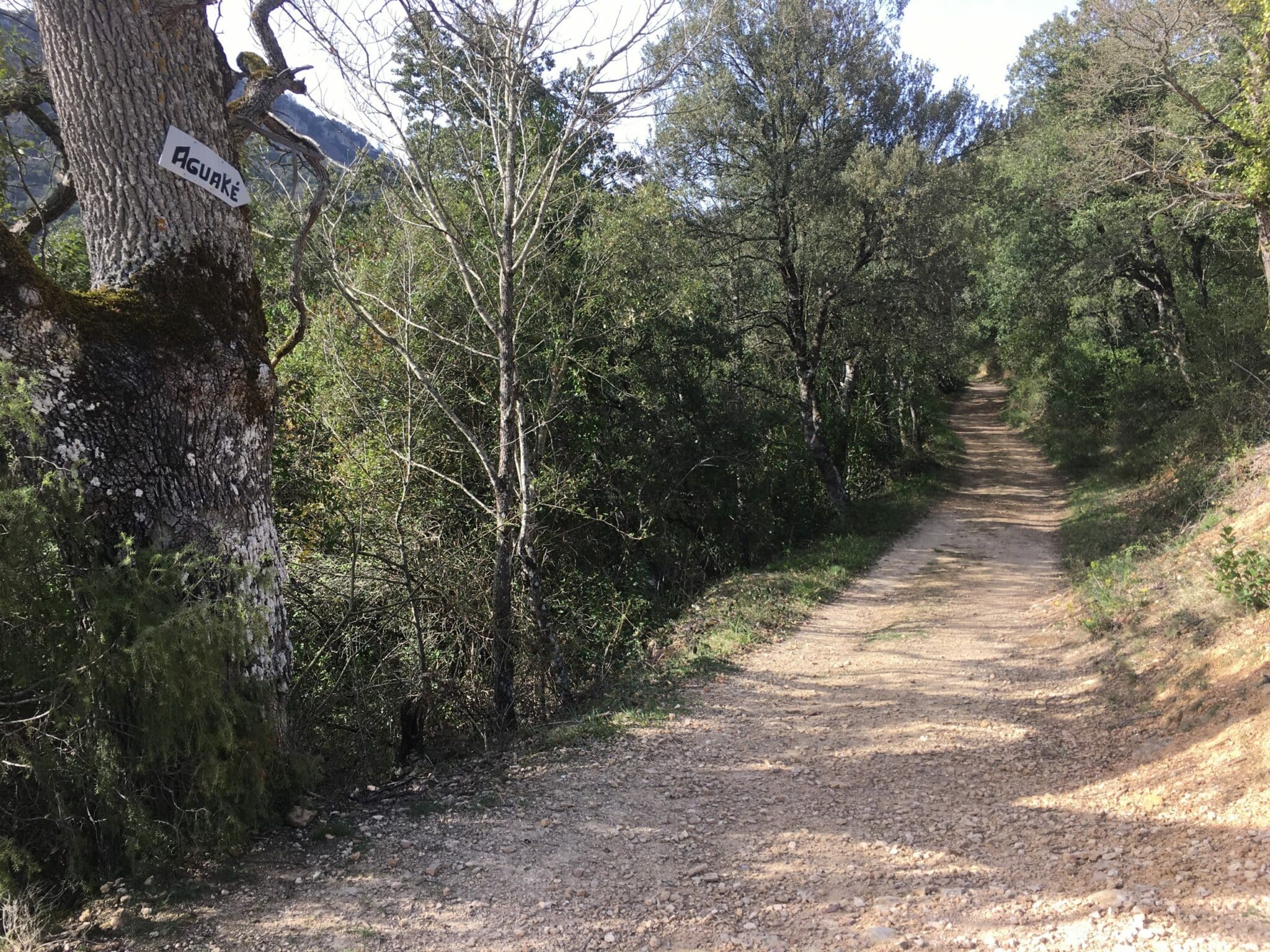 Ruta de la Cascada de Aguake