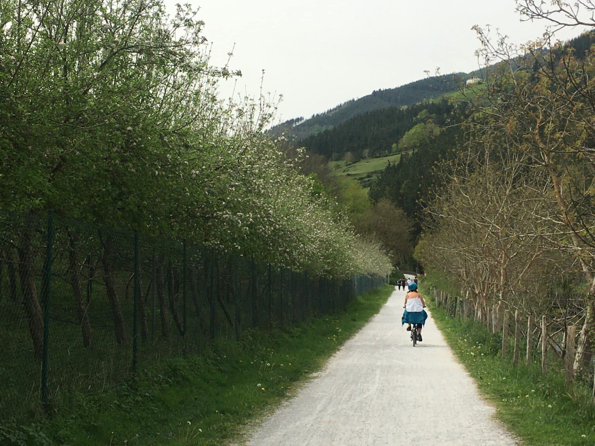 Vía Verde del Urola en bicicleta desde Azkoitia
